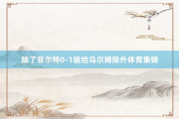 除了菲尔特0-1输给乌尔姆除外体育集锦