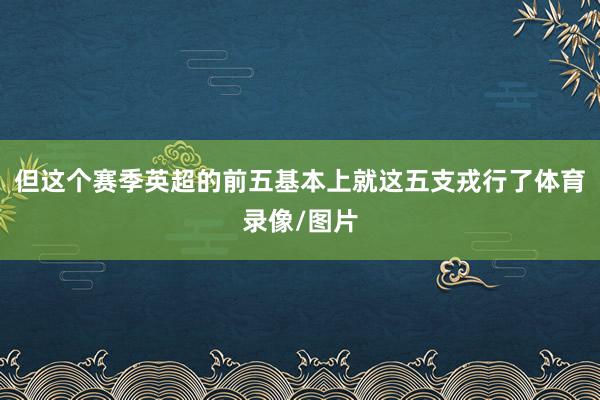 但这个赛季英超的前五基本上就这五支戎行了体育录像/图片