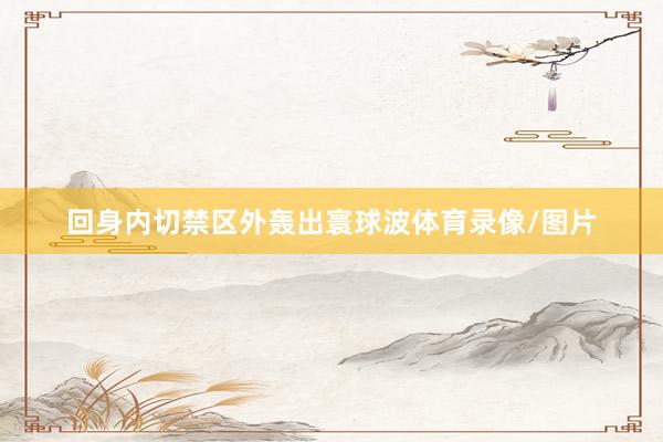 回身内切禁区外轰出寰球波体育录像/图片