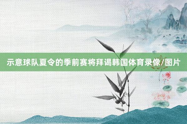 示意球队夏令的季前赛将拜谒韩国体育录像/图片