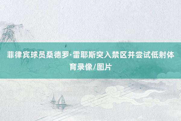 菲律宾球员桑德罗·雷耶斯突入禁区并尝试低射体育录像/图片