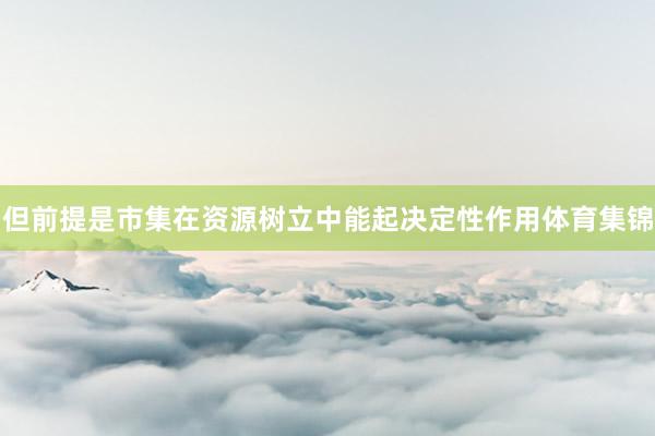 但前提是市集在资源树立中能起决定性作用体育集锦