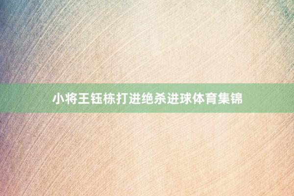 小将王钰栋打进绝杀进球体育集锦