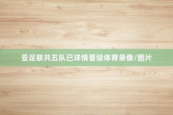 亚足联共五队已详情晋级体育录像/图片