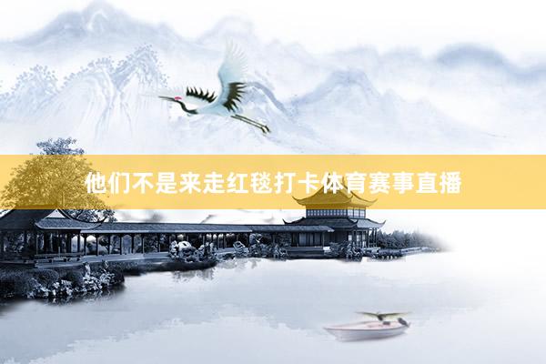 他们不是来走红毯打卡体育赛事直播