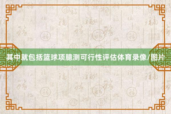 其中就包括篮球项臆测可行性评估体育录像/图片