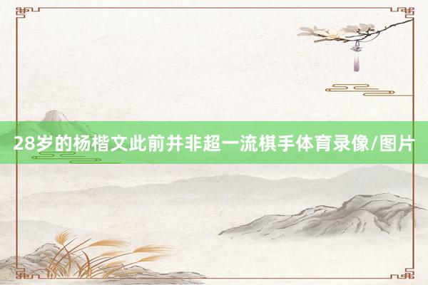 28岁的杨楷文此前并非超一流棋手体育录像/图片