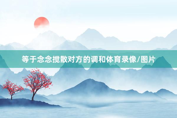 等于念念搅散对方的调和体育录像/图片