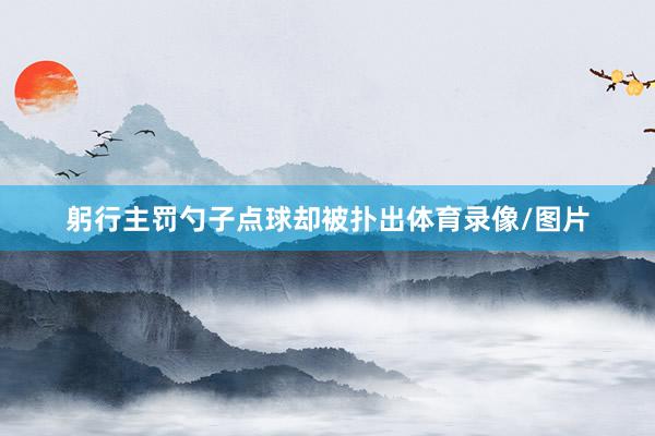 躬行主罚勺子点球却被扑出体育录像/图片