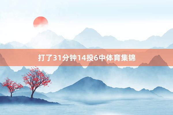 打了31分钟14投6中体育集锦