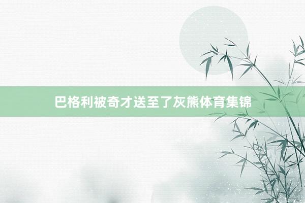 巴格利被奇才送至了灰熊体育集锦