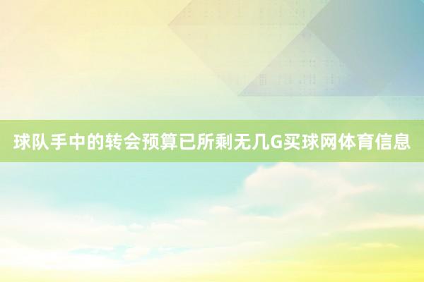 球队手中的转会预算已所剩无几G买球网体育信息