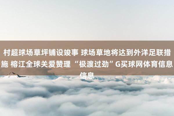 村超球场草坪铺设竣事 球场草地将达到外洋足联措施 榕江全球关爱赞理 “极渡过劲”G买球网体育信息