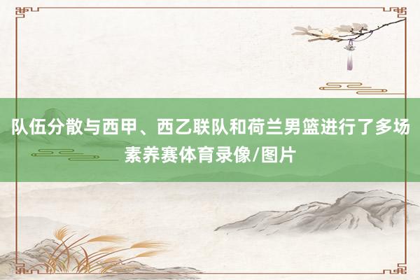 队伍分散与西甲、西乙联队和荷兰男篮进行了多场素养赛体育录像/图片
