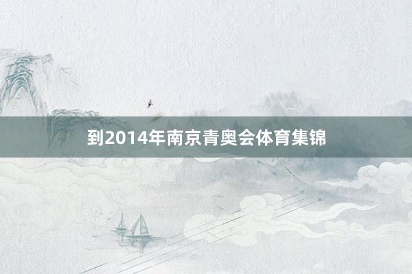 到2014年南京青奥会体育集锦