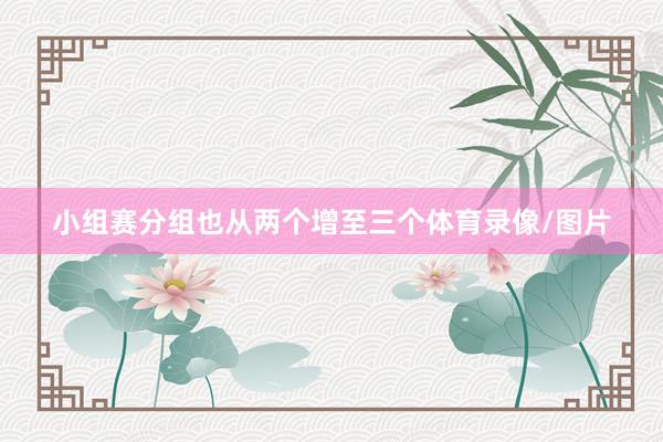 小组赛分组也从两个增至三个体育录像/图片