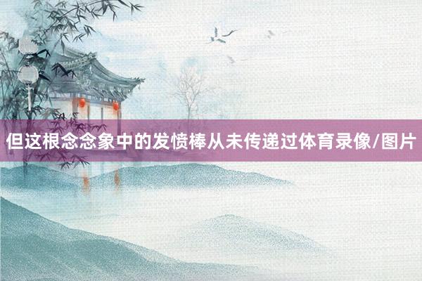 但这根念念象中的发愤棒从未传递过体育录像/图片