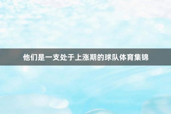 他们是一支处于上涨期的球队体育集锦